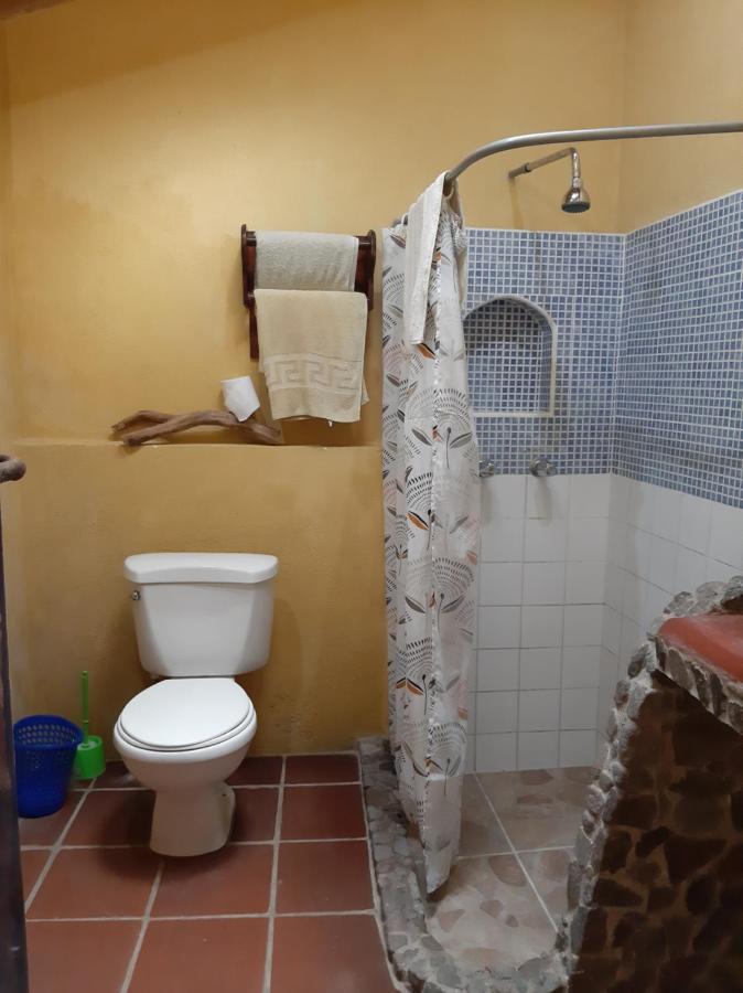 Hotel & Restaurante Arca De Noe سانتا كروز لاغونا المظهر الخارجي الصورة